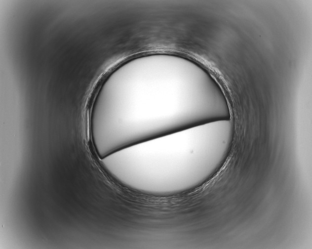 X0000098221223200804241126