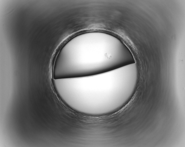 X0000098221224200804241126