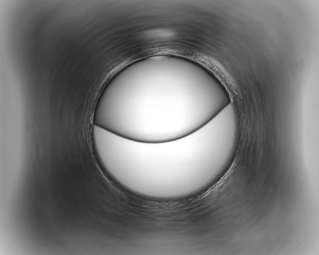 X0000098221225200804241126