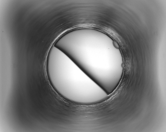 X0000098221228200804241126