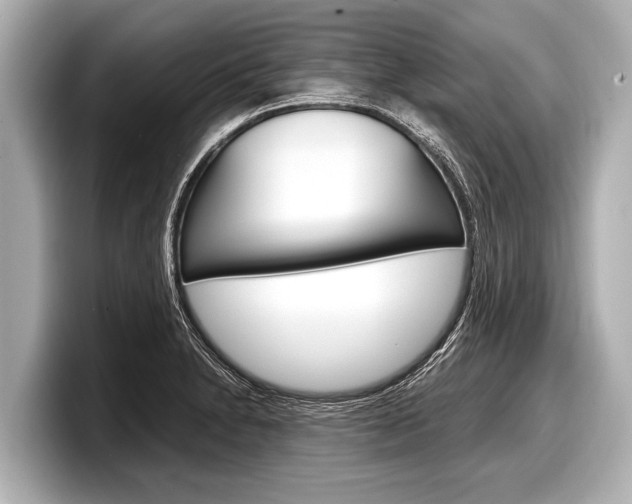 X0000098221230200804241126