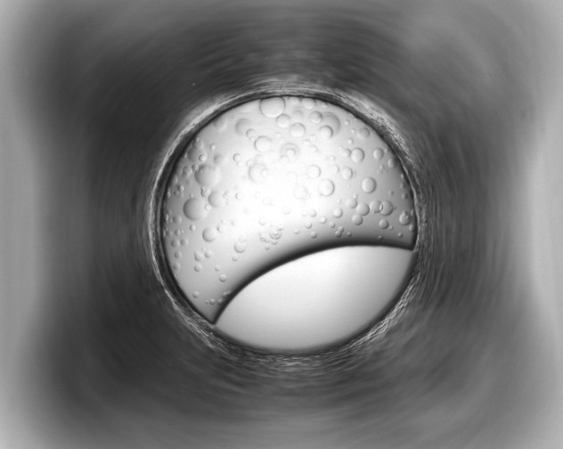 X0000098221231200804241126