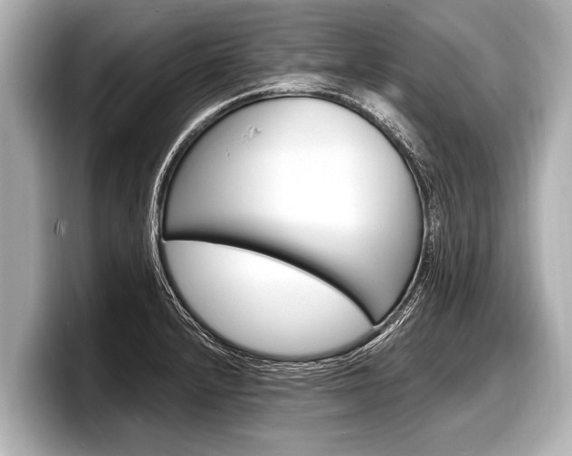 X0000098221232200804241126