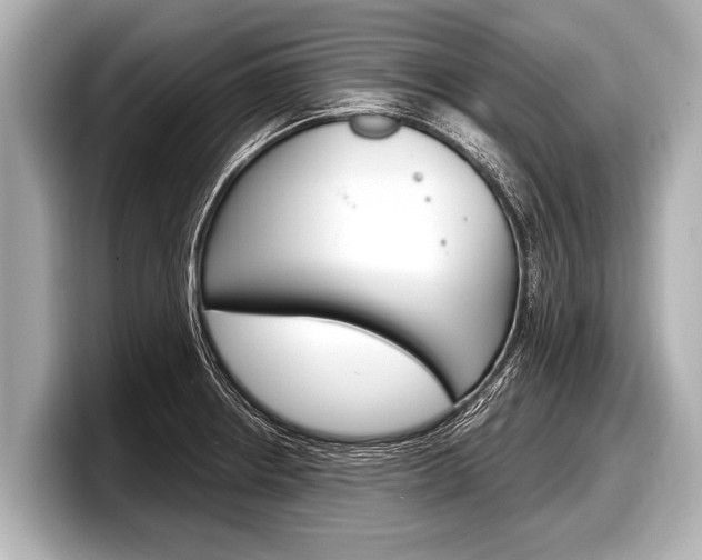 X0000098221234200804241126