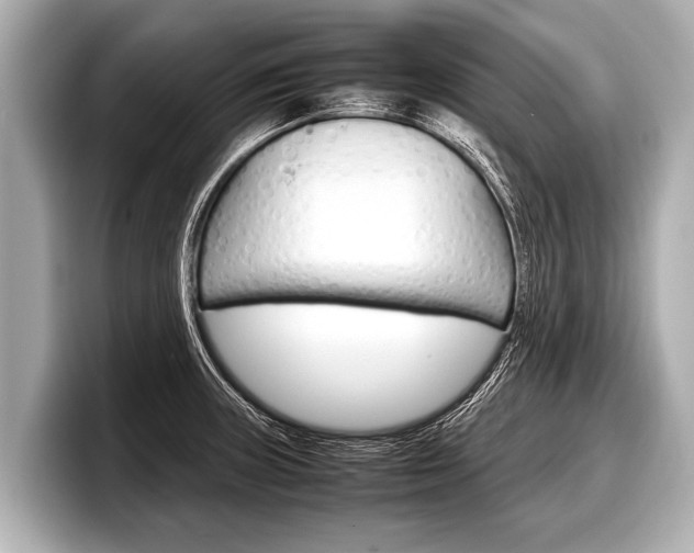 X0000098221235200804241126