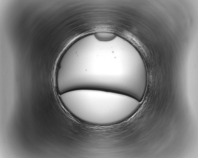 X0000098221236200804241126