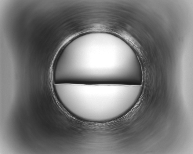 X0000098221238200804241126