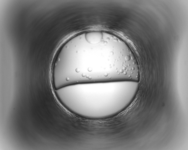 X0000098221239200804241126