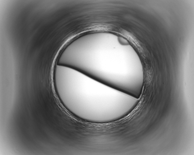 X0000098221240200804241126