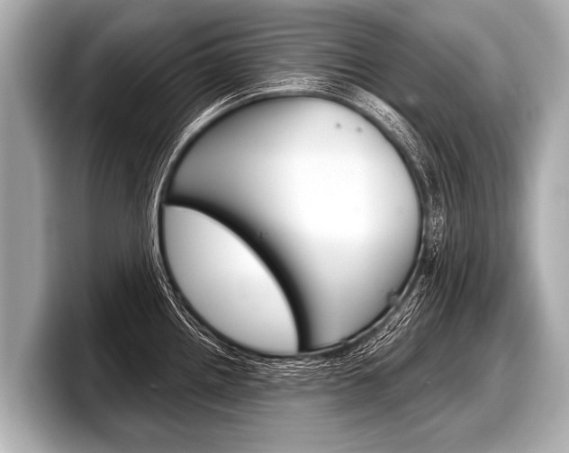 X0000098221242200804241127