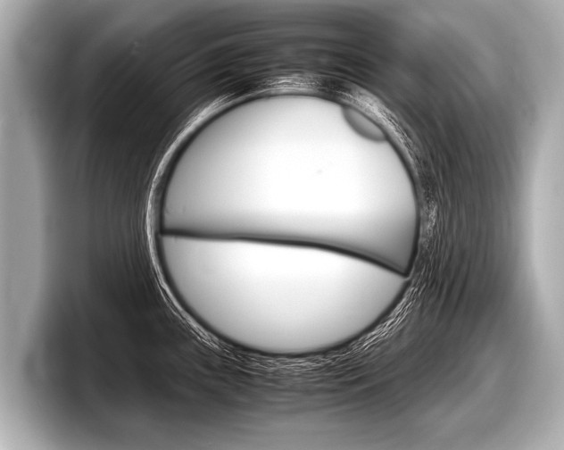 X0000098221243200804241127