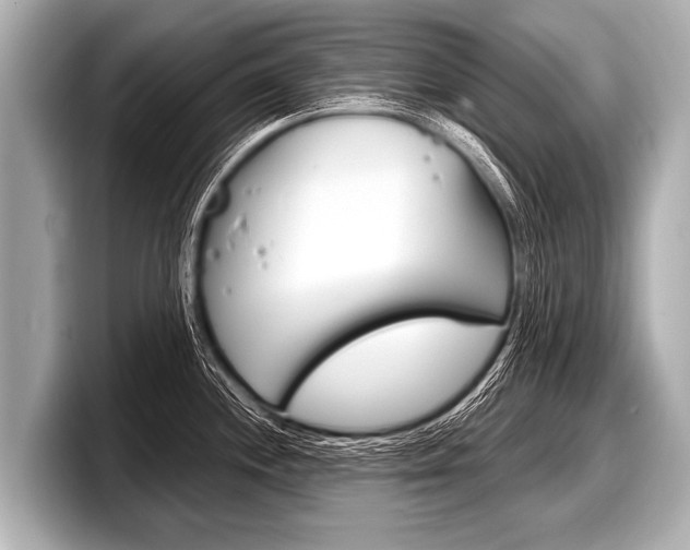 X0000098221244200804241127
