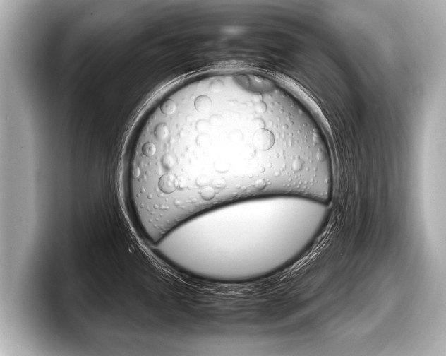 X0000098221245200804241127
