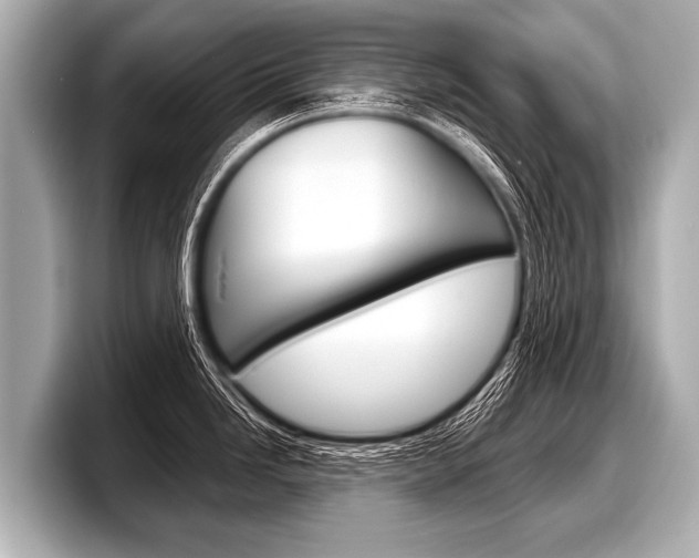X0000098221246200804241127