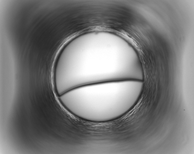 X0000098221247200804241127