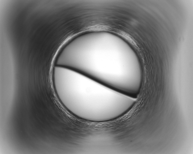 X0000098221248200804241127