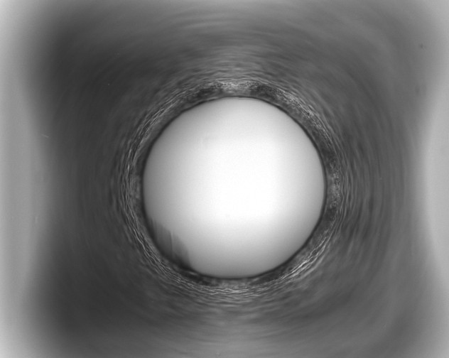 X0000098221249200804241126