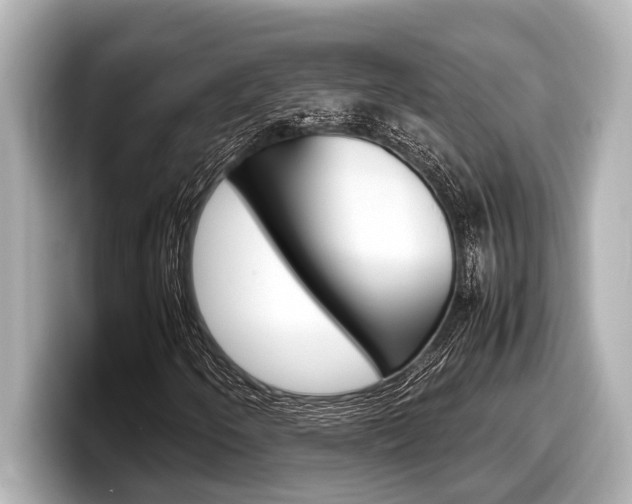 X0000098221250200804241126