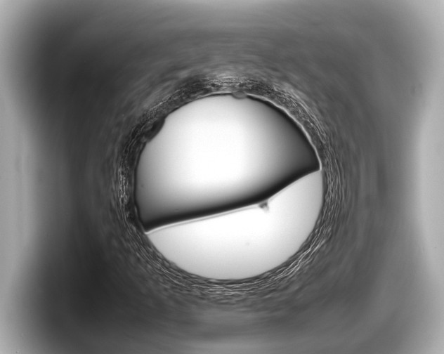 X0000098221253200804241126
