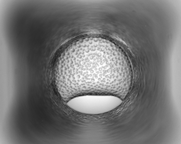 X0000098221255200804241126