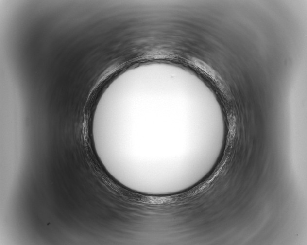 X0000098221258200804241126