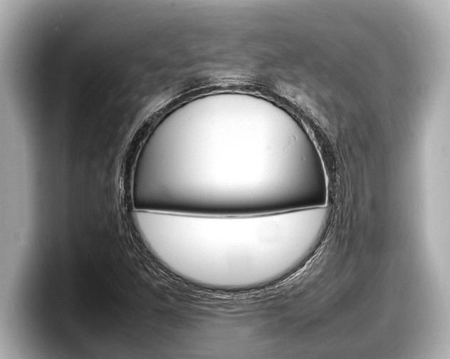 X0000098221261200804241126