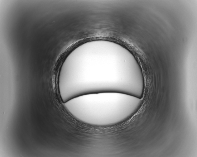 X0000098221262200804241126