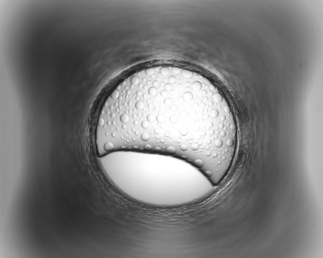 X0000098221263200804241126