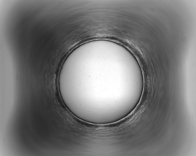 X0000098221265200804241126