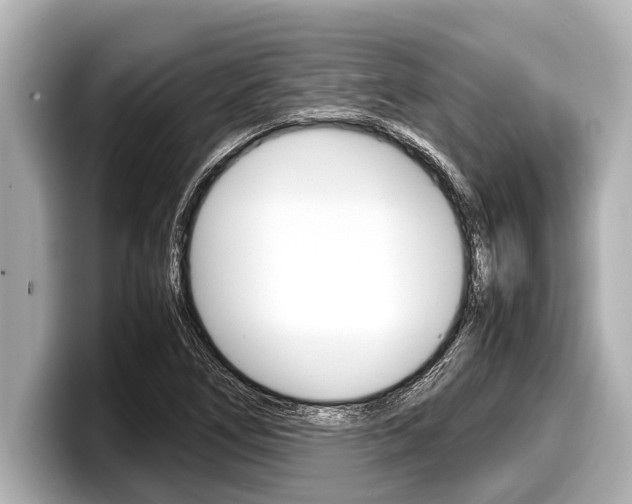 X0000098221266200804241126