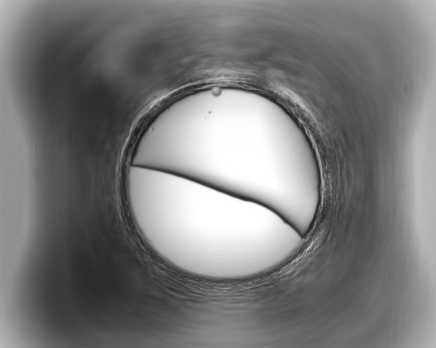 X0000098221267200804241126