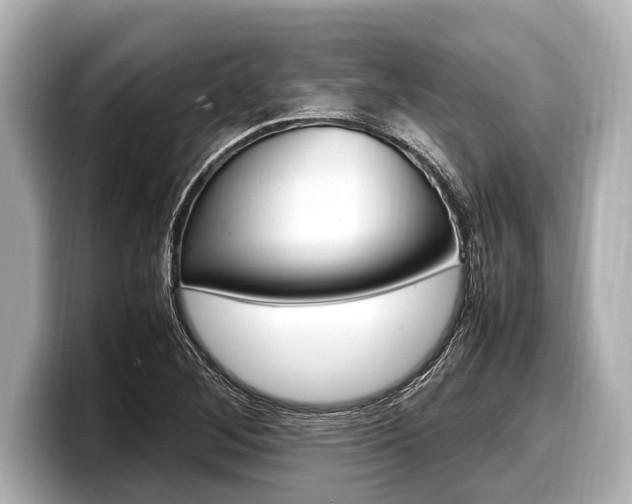 X0000098221268200804241126