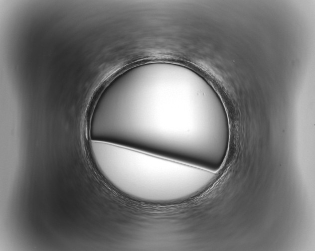 X0000098221269200804241126