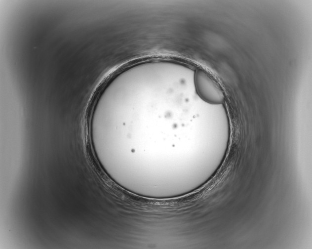 X0000098221271200804241126
