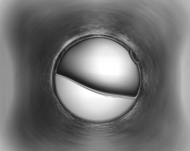 X0000098221272200804241126