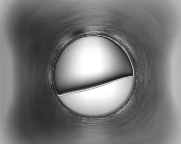 X0000098221273200804241126