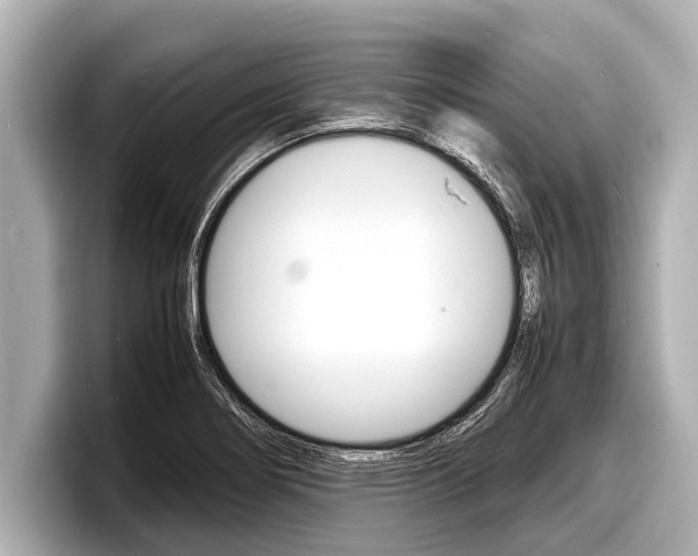 X0000098221274200804241126