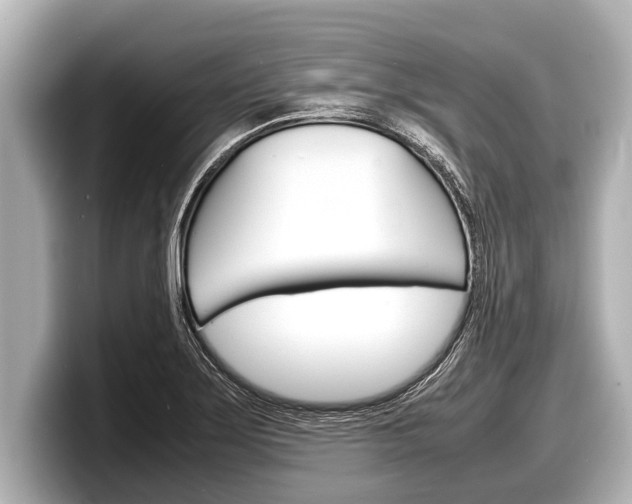 X0000098221275200804241126