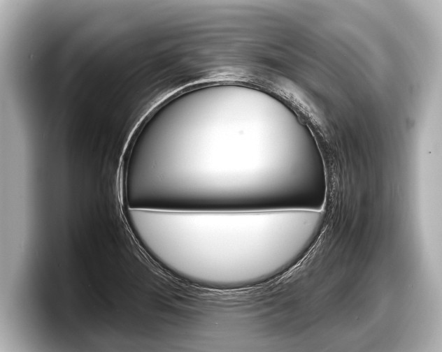 X0000098221276200804241126