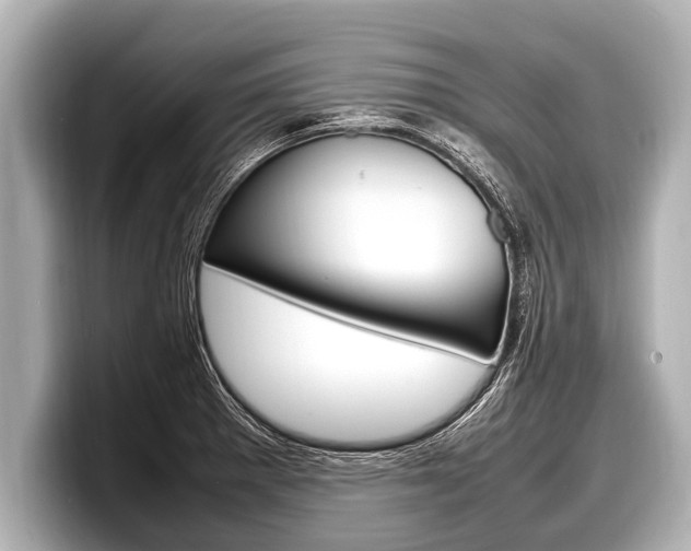 X0000098221281200804241126