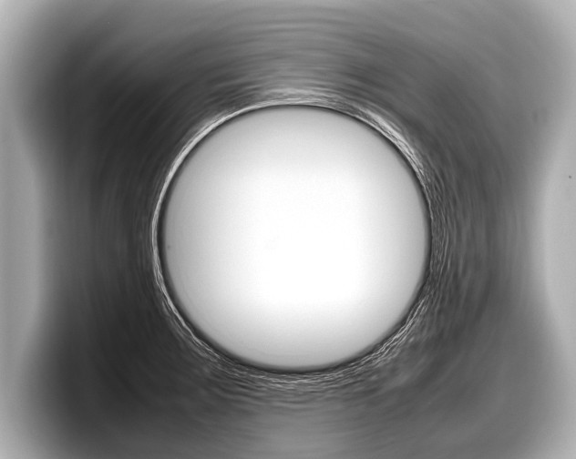 X0000098221283200804241125