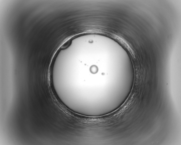 X0000098221284200804241125