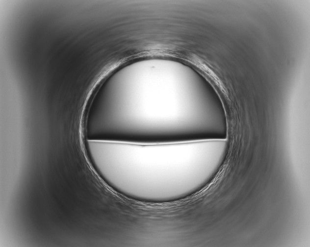 X0000098221285200804241125