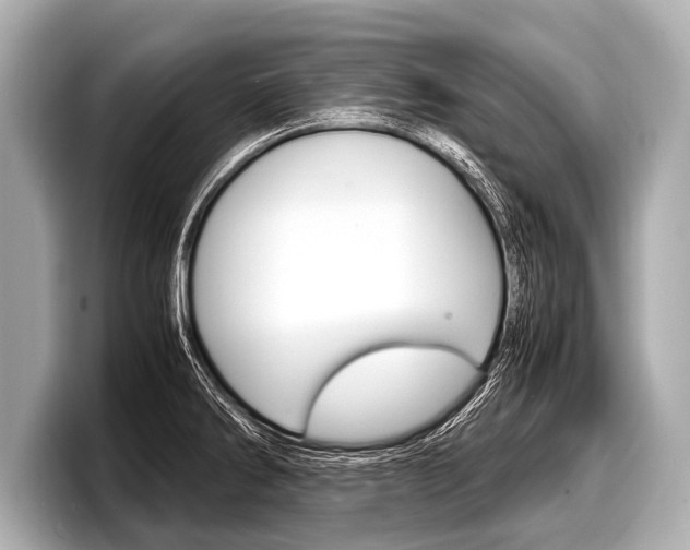 X0000098221286200804241125