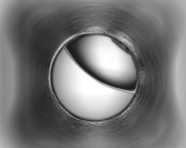 X0000098221288200804241125