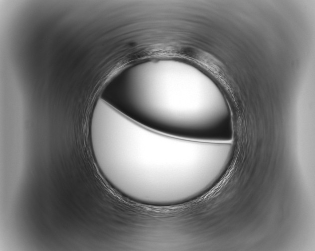 X0000098221289200804241125