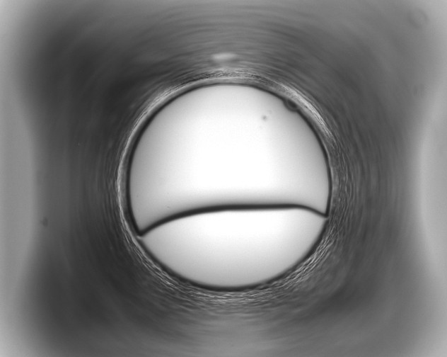 X0000098221291200804241125