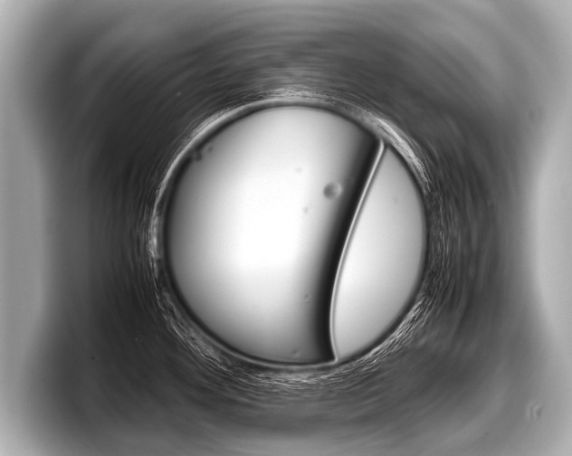 X0000098221292200804241125