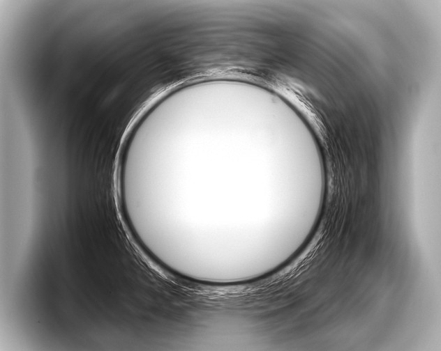 X0000098221294200804241125