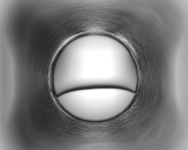 X0000098221295200804241125
